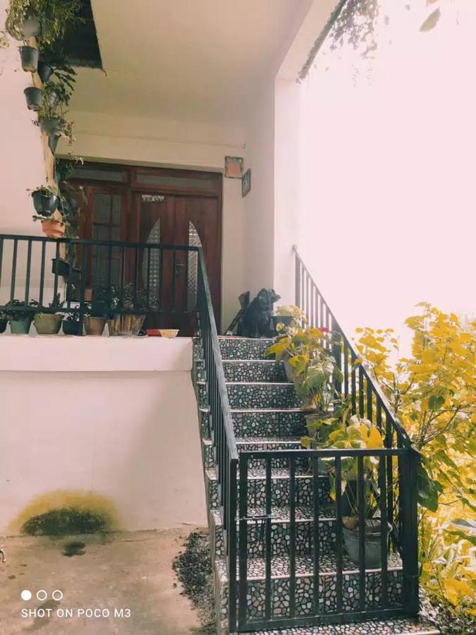 La Rose Guest House Nuwara Eliya Kültér fotó